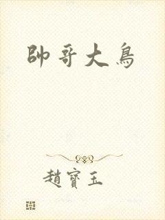 帅哥大鸟封面