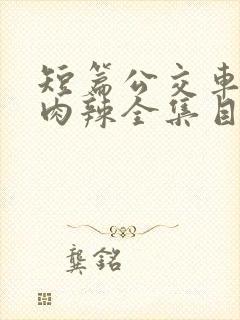 短篇公交车高h肉辣全集目录