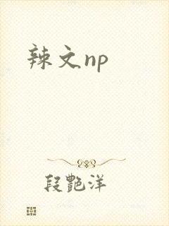 辣文np封面