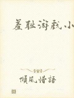 羞耻游戏小说封面