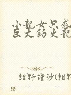 小龙女只感觉那巨大的火龙枪