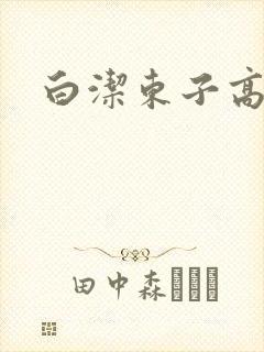 白洁东子高义封面