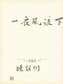 一夜风流下载封面