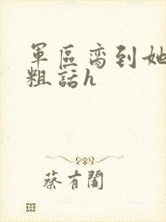 军区脔到她哭h粗话h封面