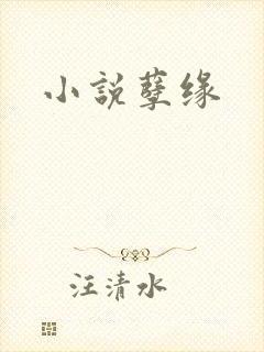 小说孽缘