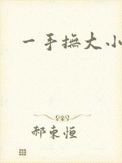 一手抚大小说