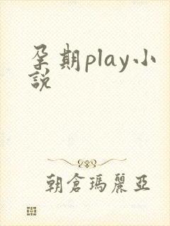 孕期play小说封面