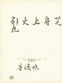 引火上身芝麻糖丸