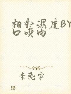 相对湿度BY大口吃肉