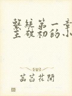 系统第一章给宿主破初的小说