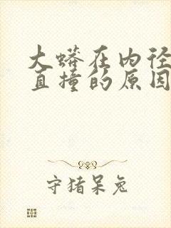 大蟒在内径横冲直撞的原因