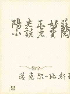 阳光正好苏玥玥小说免费阅读无弹窗