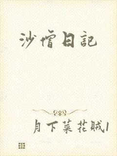 沙僧日记封面