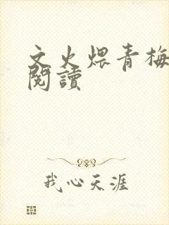 文火煨青梅免费阅读