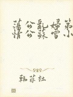 荡公乱妇第1章情公苏雪小说