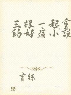 三根一起会坏掉的好痛小说封面