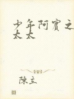 少年阿宾之房东太太封面