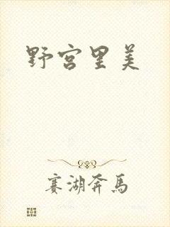 野宫里美