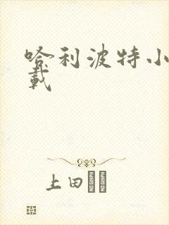 哈利波特小说下载封面