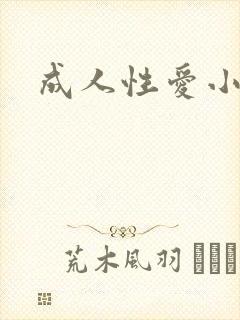 成人性爱小说封面