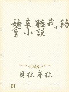 她来听我的演唱会小说