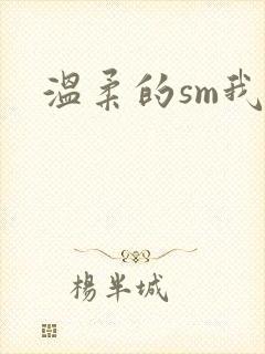 温柔的sm我封面