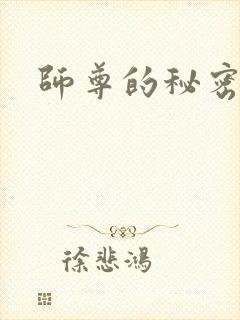 师尊的秘密封面