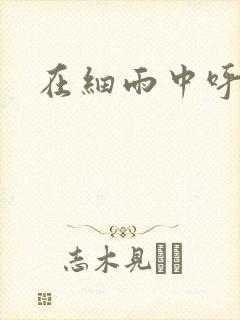 在细雨中呼喊
