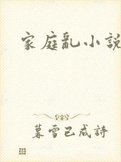 家庭乱小说封面