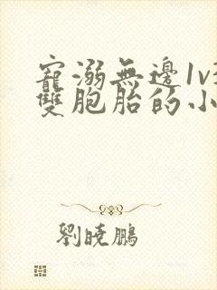 宠溺无边1v3双胞胎的小说