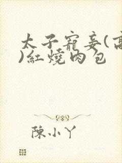 太子宠妾(高肉)红烧肉包