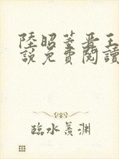 陆昭菱晋王的小说免费阅读