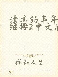漂亮的丰年经的继拇2中文版封面