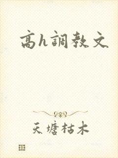 高h调教文