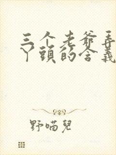 三个老爷弄一个丫头的含义封面