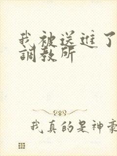 我被送进了私奴调教所