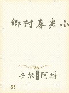 乡村春光小说