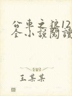 公车之狼12集全小说阅读