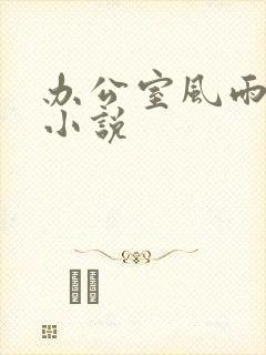 办公室风雨完整小说封面