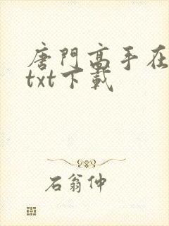 唐门高手在异世txt下载