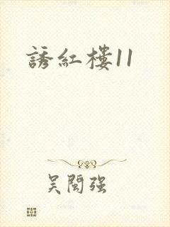 诱红楼11封面