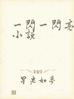 一闪一闪亮星星小说