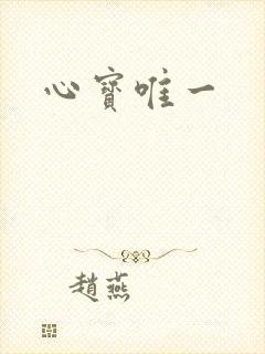 心宝唯一封面