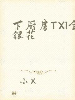 下厨房TXl金银花