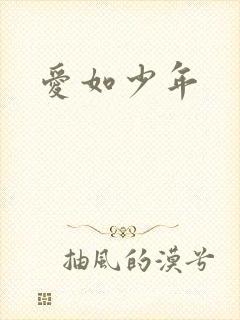 爱如少年
