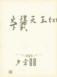 火爆天王txt下载