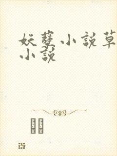 妖孽小说草莓酱小说封面