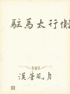 驻马太行侧封面