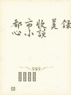 都市收美录宁素心小说