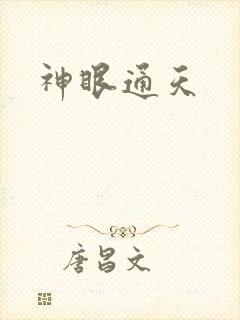 神眼通天封面